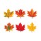 Trend Enterprises Maple Leaves Mini Accents Variety Pack, 36 Pieces, PK6 T10836 - alternate 2